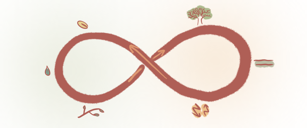 Reflexion und Entwicklung — ein Jahresrückblick 1 Jahresrückblick Eco cycle