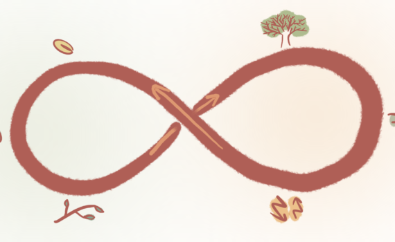 Jahresrückblick Eco cycle